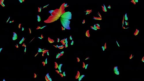Vibrant Decorative Butterflies Flying Alpha Overlay