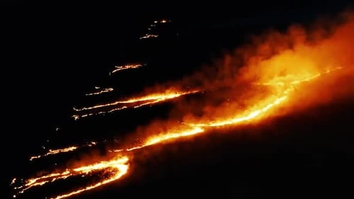 Field Burning