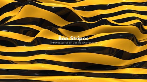 Bee Stripes 12