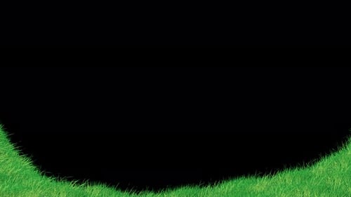 Gras Hintergrund 4K