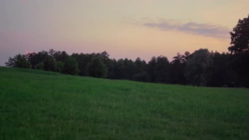 Golf Course Green Grass Grow on Sunset Nature
