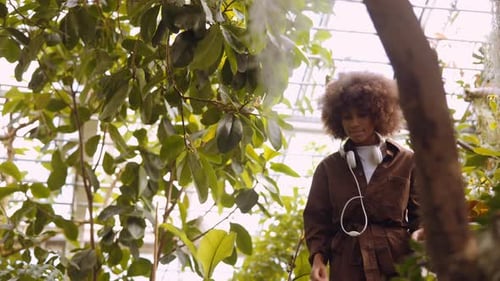 Jovem mulher explorando jardins botânicos