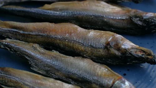 Close-Up of Row of Small Cured Fish