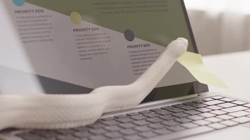 Serpent rat blanc rampant sur ordinateur portable