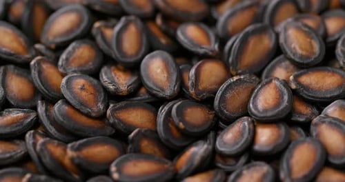 Stack of black melon seed
