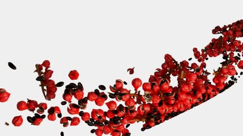 Bright Red Guarana Plants Falling