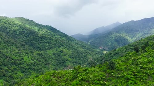 Beautiful Mountain Landscape, with Mountain Peaks Covered with Forest.