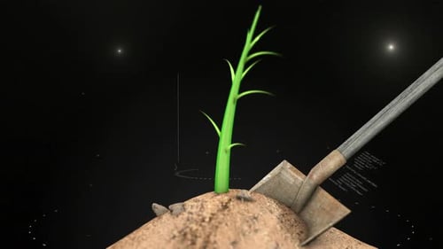 Plant Growth with UI Hud Elements