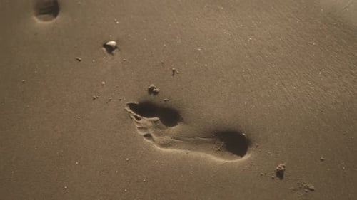 Footprints In Wet Sand On Beach