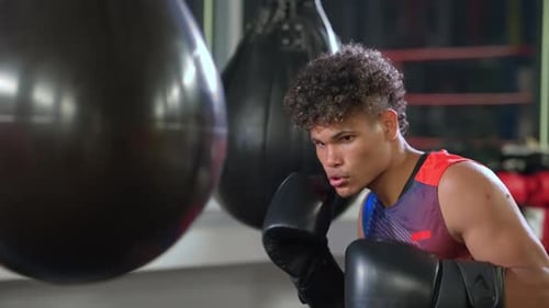 Young Adult Boxer Punching Speed Bag in Gym