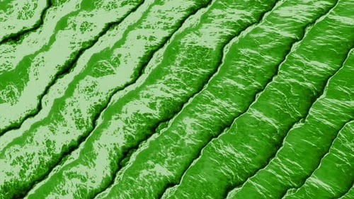 Top View of Green Wide and Long Lines with Waving Edges Seamless Loop