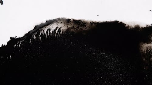 Black Ink Drops On White Background