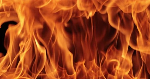 Dynamic Close Up of Vivid Flames Against Black