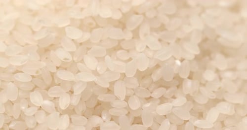 uncooked rice