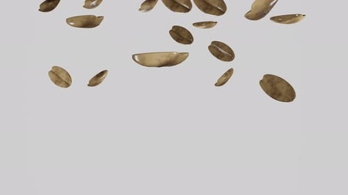 Realistic 3D Coffee Beans Falling Animation