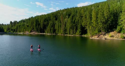 Couple rowing a stand up paddle board in the river 4k