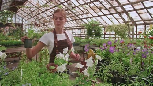 Young Woman tending Flowers in a Bright Greenhouse