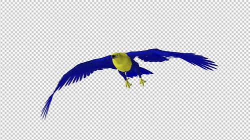 Ukraine Eagle - Flying Transition - V - 4K - Alpha Channel