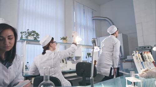 Scientists Conducting Research in a Bright Laboratory