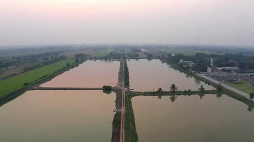 Aerial top view of lush green trees and river or lake from above in tropical forest in national park