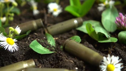 Spent Bullet Shells Amongst Greenery and Flowers