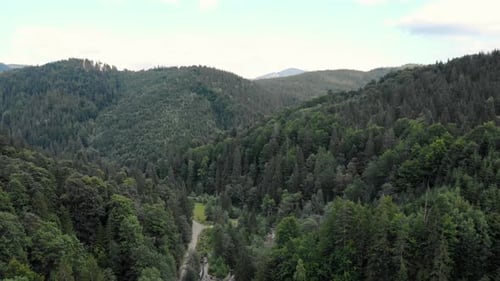 Lush Green Valley with a Winding River