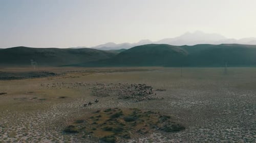 Desert Lake and Animals 2