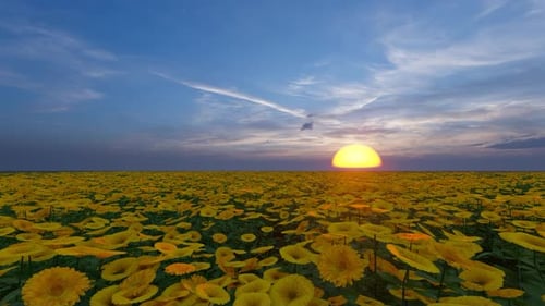 Vibrant Animated Field of Yellow Flowers at Sunset