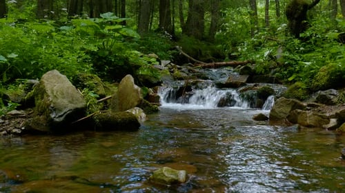 Gebirgsbach mit kristallklarem Wasser im Wald