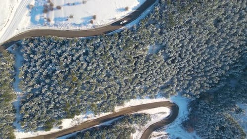 Snowy road through trees and forest