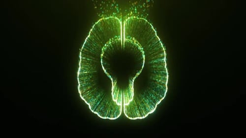 Digital Brain Forming Lightbulb with Binary Code Flow