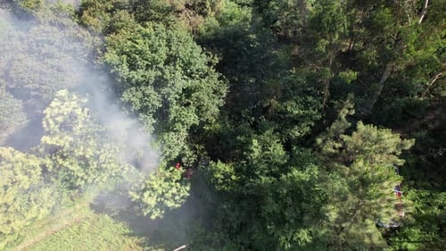 Forest Fire Aerial