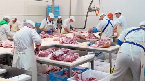 Male and Female Butchers Cutting Pork at Meat Factory