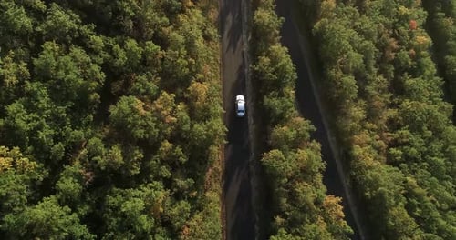 Autofahren entlang einer Asphaltstraße in einem dichten Wald im Sommer