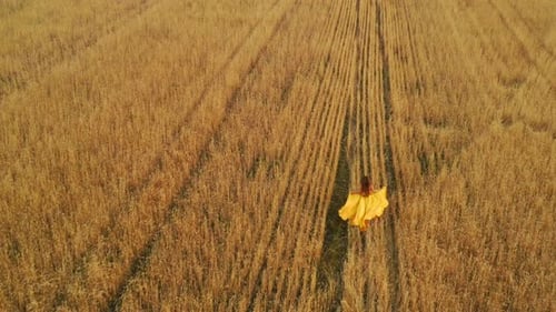 Beautiful Woman in Dress at Sunset in a Wheat Field.