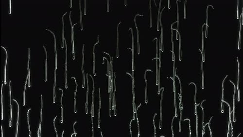 Gotas de líquido que caen sobre el cristal sobre fondo negro en 4k. alpha