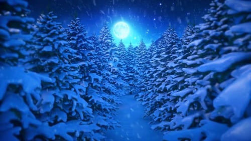 Winter Night Snowy Forest Path with Falling Snow and Full Moon