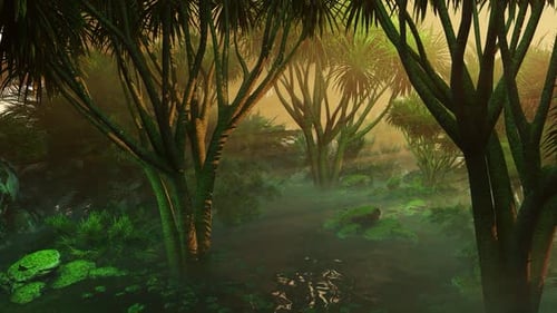 Misty Tropical Jungle Forest with Sunbeams Animation