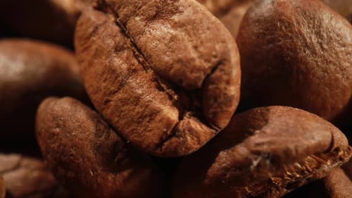 Close Up of Roasted Coffee Beans