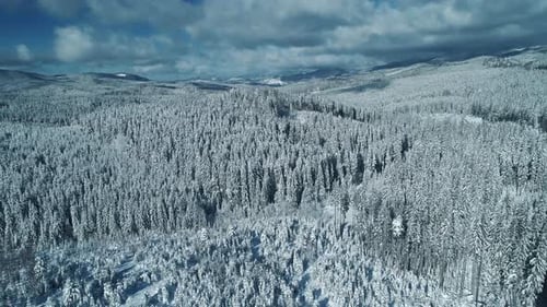 Majestic Aerial View of Snow-Covered Winter Forest