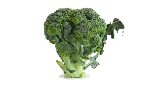 Green Broccoli Closeup on White Background