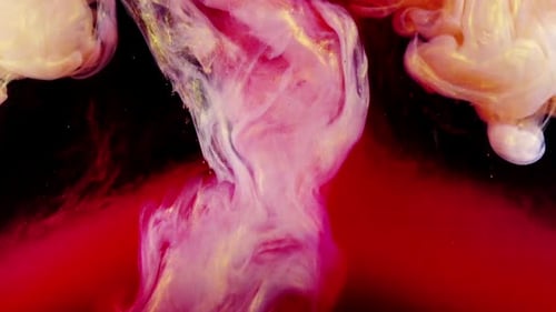 Abstract Forms