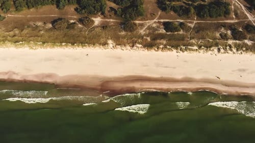 AERIAL: Reveal shot of the green pine forest near Baltic Sea