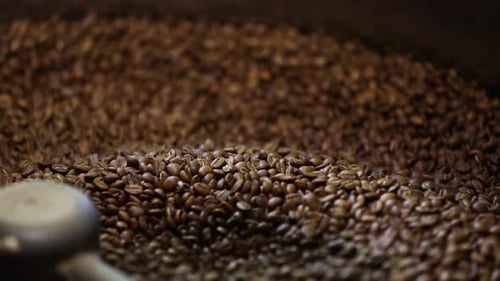 Roasted Coffee Beans Stirred in Roasting Machine
