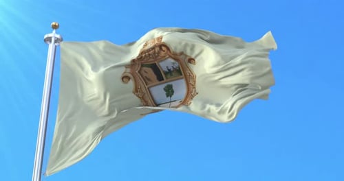 Realistic Waving Flag with Detailed Coat of Arms