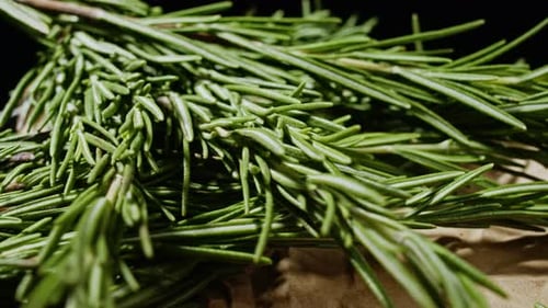 Le romarin vert frais tourne sur fond noir. Épices, herbes pour la cuisson de la viande et d'autres plats