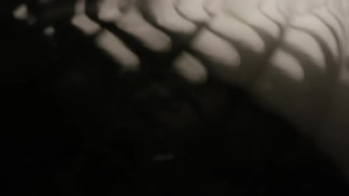 Abstract Distorted Background with Dark and Light Shapes