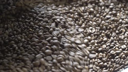 Roasted Coffee Beans Churning in Roasting Machine