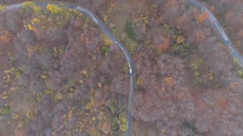Big White Semitrailer Truck of Logistic Company with Cargo Is Driving on the Asphalt Road