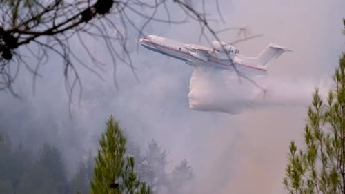 Airplane Drops Water to Fight Forest Fire